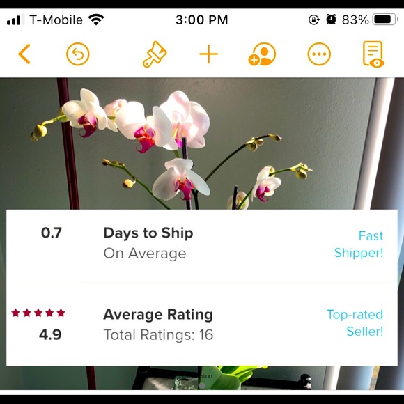 π¦ - Picture 1 of 1